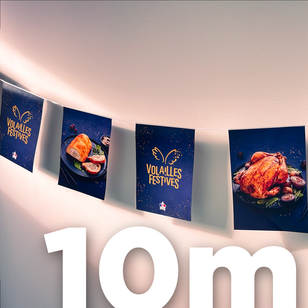 Guirlande Papier 10m